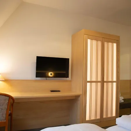 Hotel De Saxe 3*