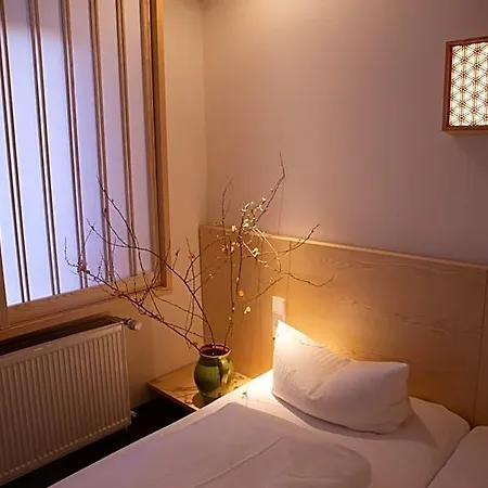 De Saxe Hotel 3*