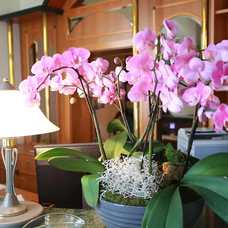 De Saxe 3* Лейпциг