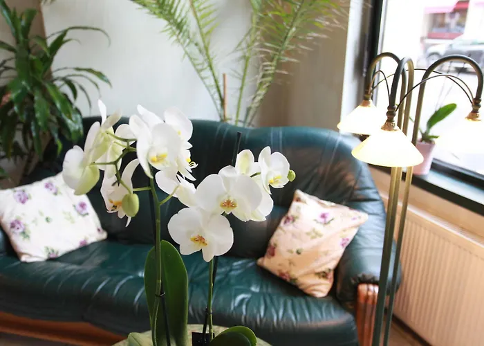 Hotel De Saxe Leipzig Hotel 3*